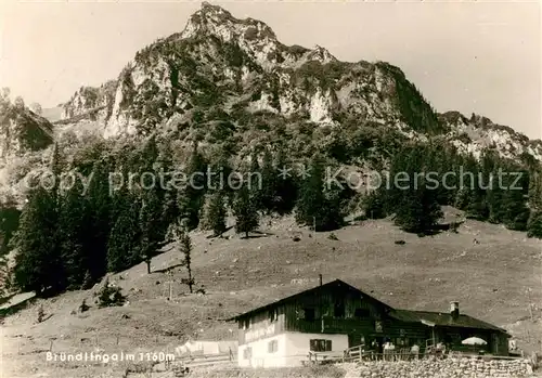 AK / Ansichtskarte Bruendlingalm Panorama Kat. Bruendling Alm