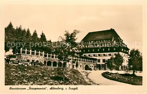 AK / Ansichtskarte Altenberg Erzgebirge Sanatorium Raupennest  Kat. Geising