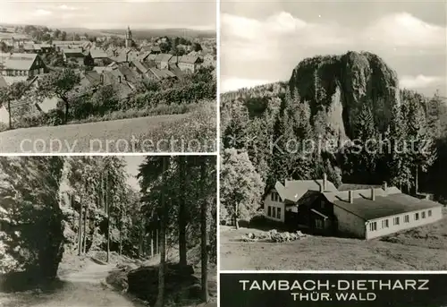 AK / Ansichtskarte Tambach Dietharz Panorama Waldweg Ferienheim Kat. Tambach Dietharz