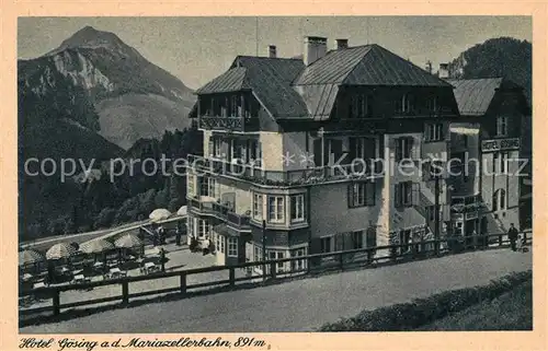 AK / Ansichtskarte Mariazellerbahn  Hotel Goesing Kat. St. Poelten