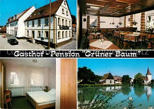 AK / Ansichtskarte Markt Taschendorf Gasthof Pension Gruener Baum Gastraum Gaestezimmer Schwanenteich Kat. Markt Taschendorf