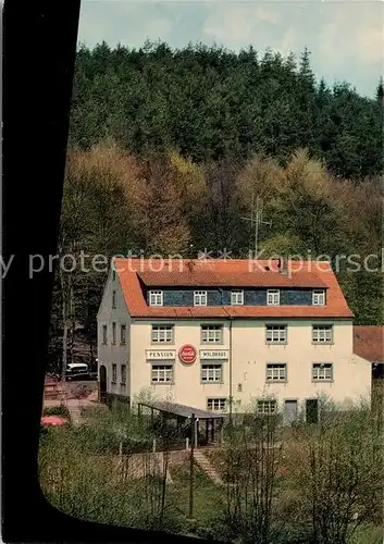 AK / Ansichtskarte Hessenthal Spessart Gasthaus Pension Waldhaus Kat. Mespelbrunn