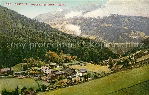 AK / Ansichtskarte Bad Gastein Koetschachtal gruener Baum Kat. Bad Gastein