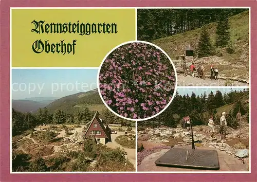 AK / Ansichtskarte Oberhof Thueringen Rennsteiggarten Teilansichten Kat. Oberhof Thueringen