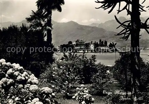 AK / Ansichtskarte Isola Bella Lago Maggiore Panorama