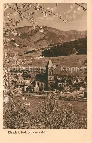 AK / Ansichtskarte Elzach Kirchenpartie Kat. Elzach