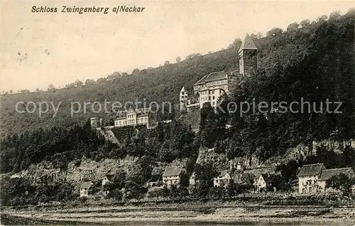 AK / Ansichtskarte Zwingenberg Neckar Schlosspartie