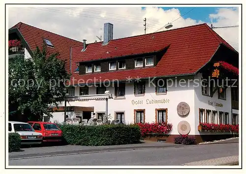 AK / Ansichtskarte Freiamt Hotel Ludinmuehle Kat. Freiamt