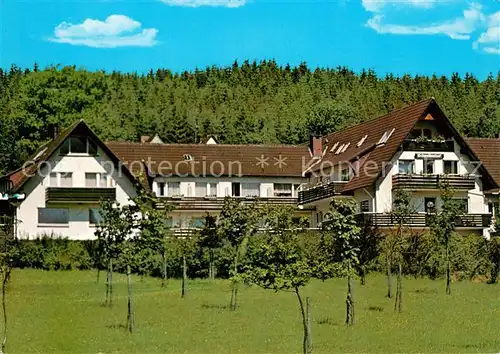 AK / Ansichtskarte Neuhaus Solling Hotel Pension Schwalbenhof Kat. Holzminden