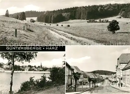 AK / Ansichtskarte Guentersberge Limbachtal Bergsee Marktstrasse  Kat. Guentersberge