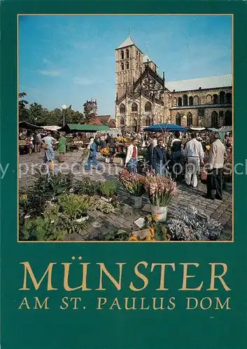 AK / Ansichtskarte Muenster Westfalen am St Paulus Dom Kat. Muenster