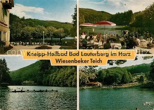 AK / Ansichtskarte Lauterberg Bad Wiesenbeker Teich  Kat. Bad Lauterberg im Harz