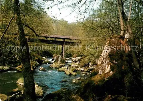 AK / Ansichtskarte Irrel Wasserfaelle Pruem  Kat. Irrel