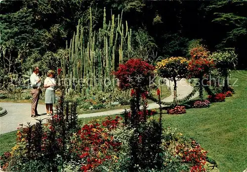 AK / Ansichtskarte ueberlingen Bodensee Stadtgarten Kakteengruppen Kat. ueberlingen