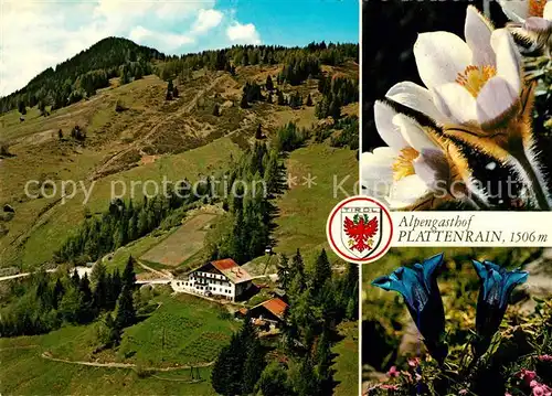 AK / Ansichtskarte Arzl Pitztal Alpengasthof Plattenrain Kat. Arzl im Pitztal