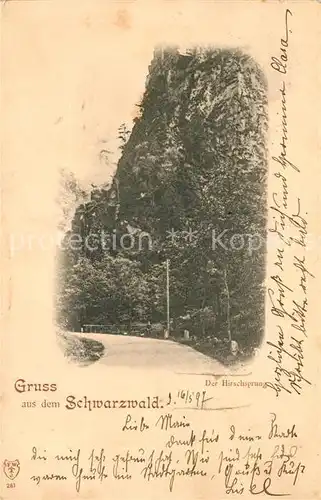AK / Ansichtskarte Schwarzwald Hirschsprung Kat. Regionales