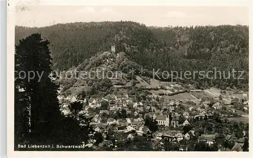 AK / Ansichtskarte Bad Liebenzell  Kat. Bad Liebenzell