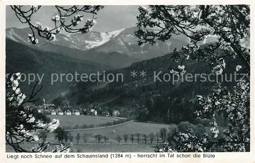 AK / Ansichtskarte Freiburg Breisgau Baumbluete im Tal Schauinsland mit Schnee Serie Deutsche Heimatbilder Kat. Freiburg im Breisgau