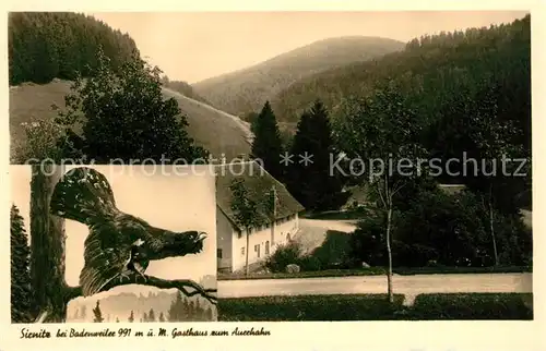 AK / Ansichtskarte Sirnitz Badenweiler Gasthaus zum Auerhahn