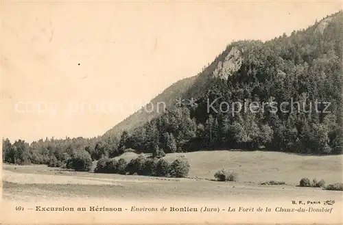 AK / Ansichtskarte Bonlieu La Foret de la Chaux du Dombief Kat. Bonlieu