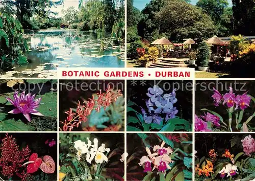 AK / Ansichtskarte Durban South Africa Botanic Gardens Seerosenteich Pavillons Flora Kat. Durban