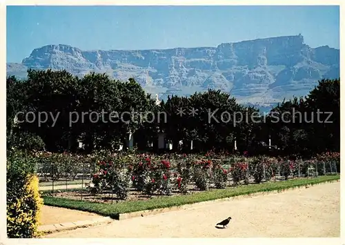 AK / Ansichtskarte Kapstadt mit Tafelberg Kat. Suedafrika