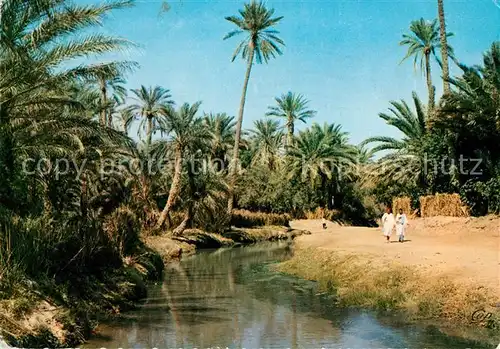 AK / Ansichtskarte Tozeur Oued dans la Palmeraie Kat. Tunesien