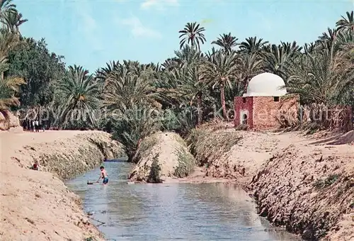 AK / Ansichtskarte Tozeur Fluss und Marabutsgrab in der Oase Kat. Tunesien