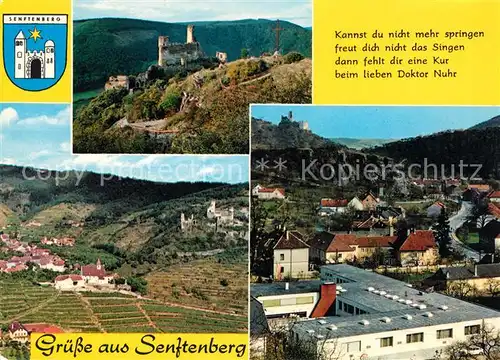 AK / Ansichtskarte Senftenberg Niederlausitz Burg Panoramen Kat. Senftenberg