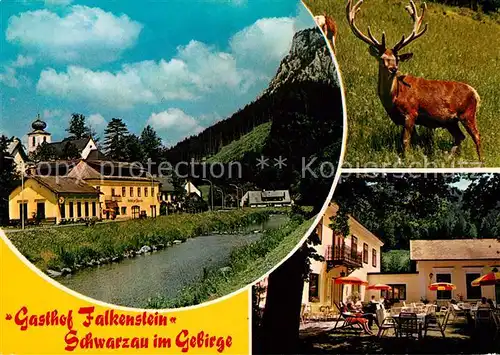 AK / Ansichtskarte Schwarzau Gebirge Gasthaus Falkenstein Kat. Schwarzau im Gebirge