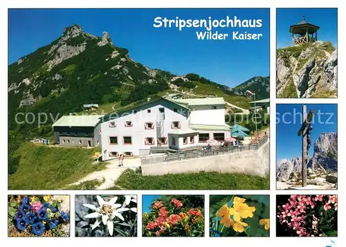 AK / Ansichtskarte Stripsenjochhaus Wilder Kaiser Enzian Edelweiss Azaleen Schluesselblume Kat. Wildermieming