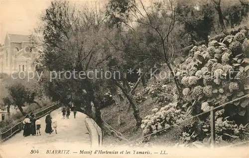 AK / Ansichtskarte Biarritz Pyrenees Atlantiques Massif d Hortensias et les Tamaris Kat. Biarritz