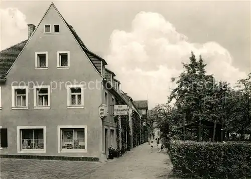 AK / Ansichtskarte Wehlen Sachsen Rosenstrasse Kat. Wehlen