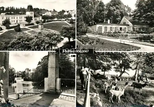 AK / Ansichtskarte Putbus Ruegen Hotel Deutsches Haus Markt Park Rosencafe Wildgehege  Kat. Putbus