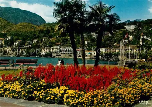 AK / Ansichtskarte Ascona Lago Maggiore Teilansicht