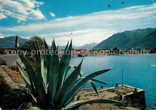 AK / Ansichtskarte Ascona Lago Maggiore Panorama