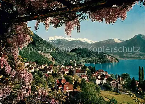 AK / Ansichtskarte Vitznau Vierwaldstaettersee Glyzinen Pergola und Nidwalder Alpen Kat. Vitznau