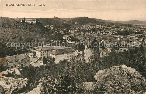 AK / Ansichtskarte Blankenburg Harz  Kat. Blankenburg