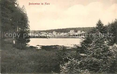 AK / Ansichtskarte Bockswiese Hahnenklee Harz  Kat. Goslar