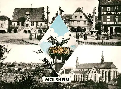 AK / Ansichtskarte Molsheim Grandes Boucheries Place de Hotel de Ville Vue generale Eglise des Jesuites Kat. Molsheim