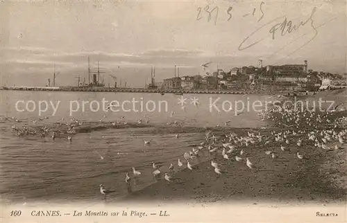 AK / Ansichtskarte Cannes Alpes Maritimes Les Mouettes sur la Plage Kat. Cannes