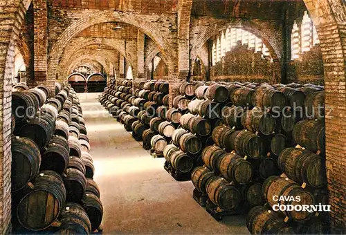 AK / Ansichtskarte Cavas Codorniu Una bodega Monumento Nacional Kat. Spanien