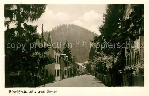 AK / Ansichtskarte Friedrichroda Blick zum Gottlob Kat. Friedrichroda