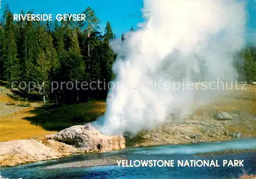 AK / Ansichtskarte Geysire Vulcans Geysers Vulkane Riverside Geyser Yellowstone National Park  Kat. Natur