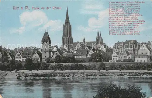 AK / Ansichtskarte Ulm Donau Muenster Donaupartie Kat. Ulm