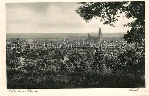 AK / Ansichtskarte Ulm Donau Panorama Muenster Kat. Ulm