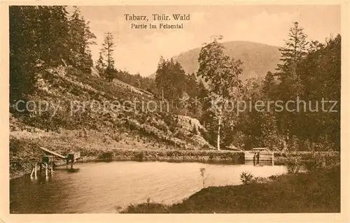 AK / Ansichtskarte Tabarz Partie im Felsental Kat. Tabarz Thueringer Wald