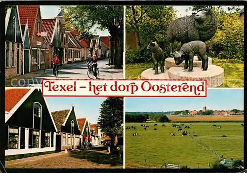 AK / Ansichtskarte Texel Ortsansichten Weide Denkmal Schafe Kat. Niederlande