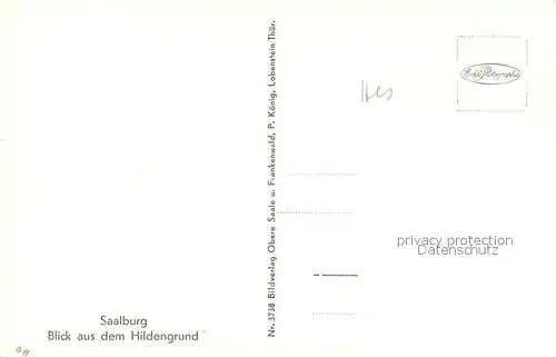 AK / Ansichtskarte Saalburg Saale Blick aus dem Hildengrund Kat. Saalburg Ebersdorf