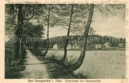 AK / Ansichtskarte Bad Georgenthal Gotha Promenade am Hammerteich